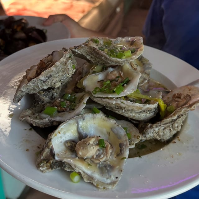 Steamed Oysters.