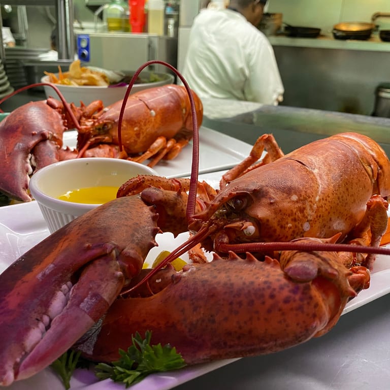 Indulge in Our Lobster Dishes