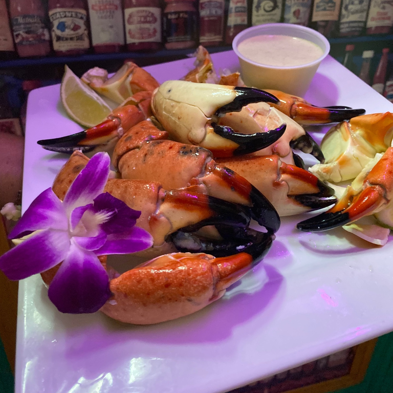 Florida Stone Crab